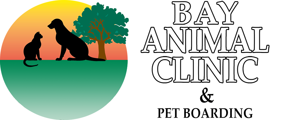 Bay Animal Clinic